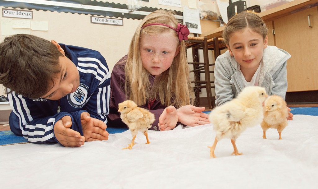 Eagle Harbour Montessori School