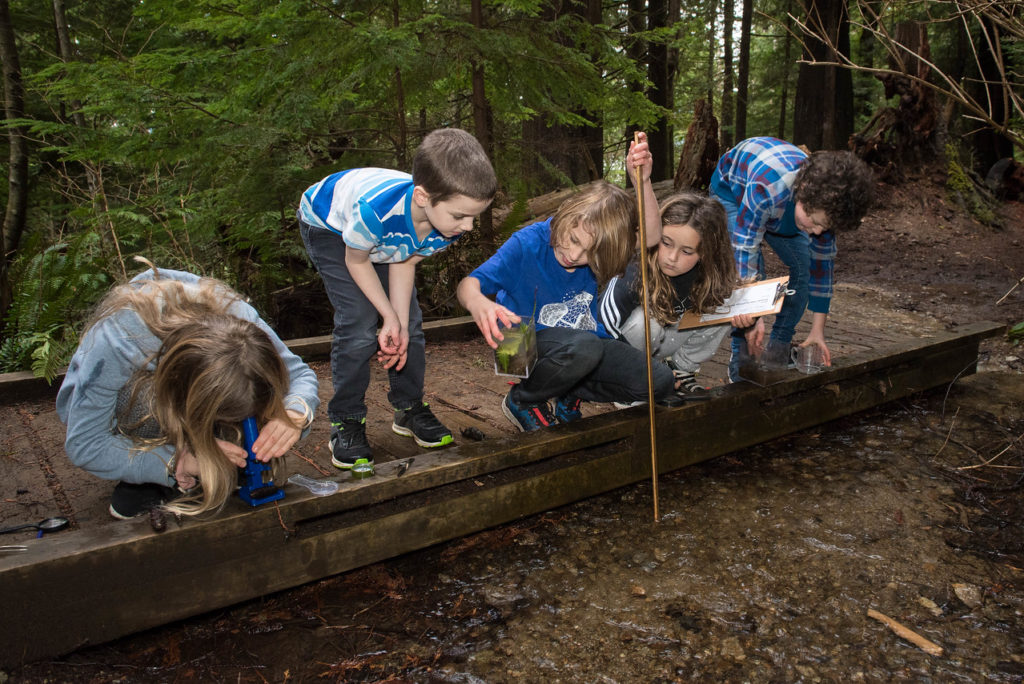 Library Lions Bay Community School
