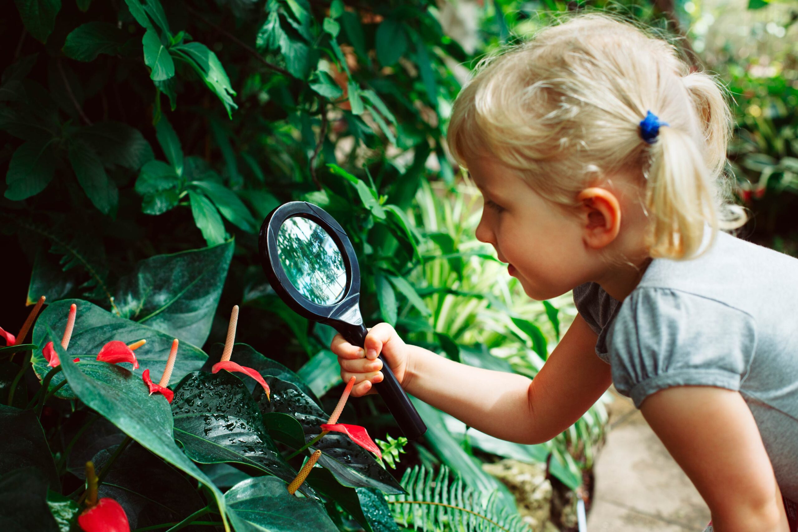 Early Learning Events